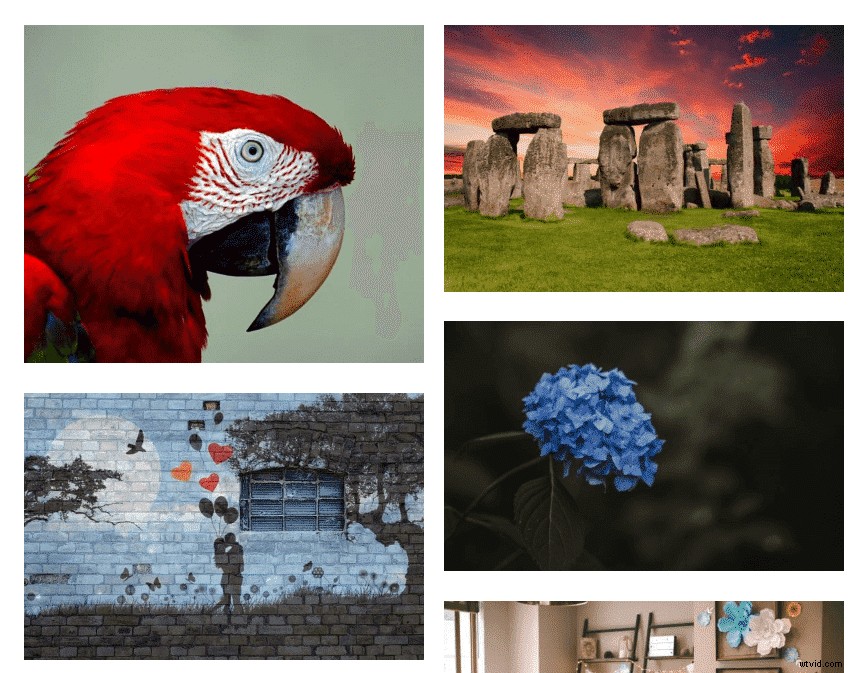 Top 35 Free Stock Photo Websites: High-Quality Royalty-Free Images