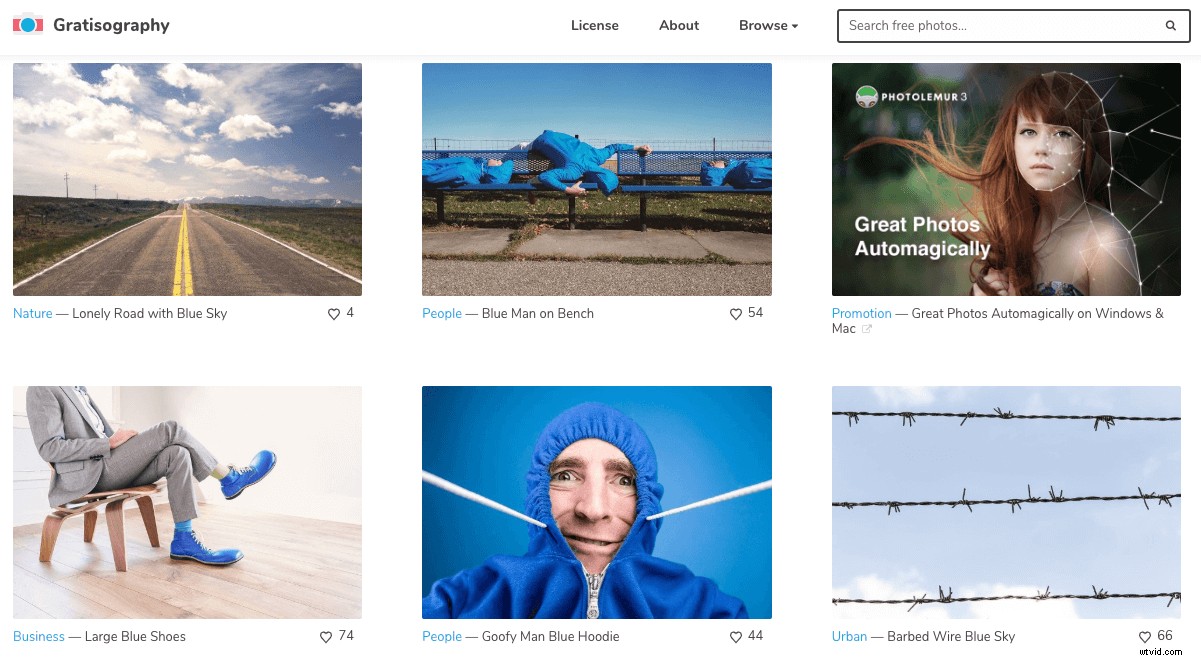 Top 35 Free Stock Photo Websites: High-Quality Royalty-Free Images