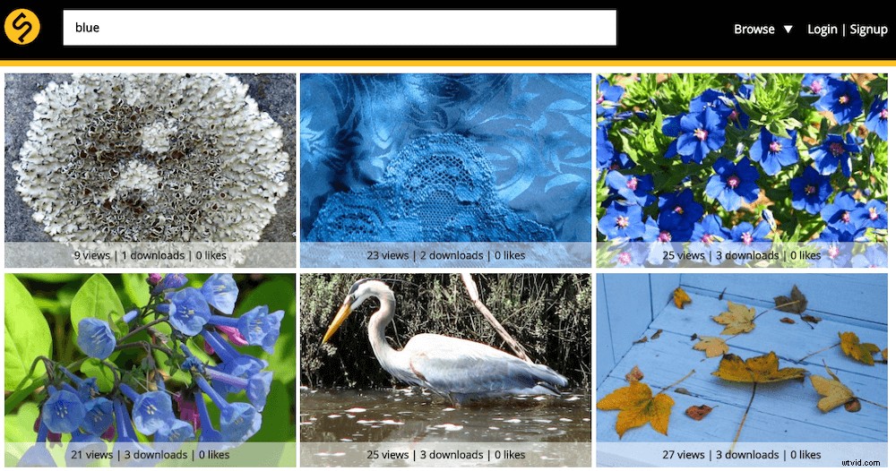 Top 35 Free Stock Photo Websites: High-Quality Royalty-Free Images