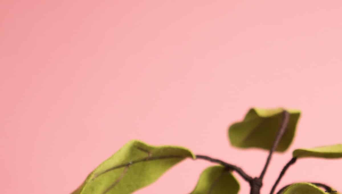 Elevate Your Affiliate Marketing Success with Engaging Video Content