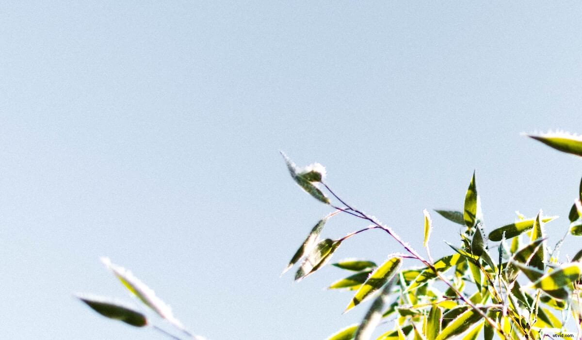 Elevate Your Affiliate Marketing Success with Engaging Video Content