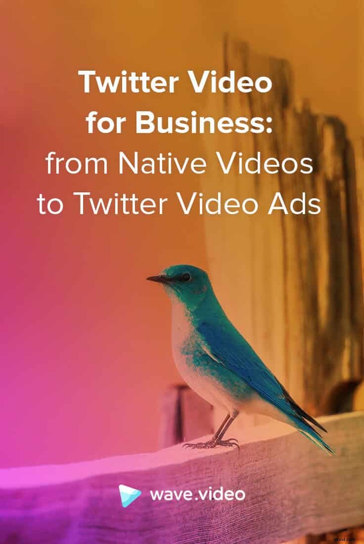 Master Twitter Videos for Business: From Native Content to Powerful Video Ads