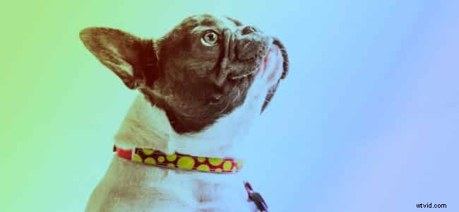 12 Essential April Holidays to Add to Your Calendar Now