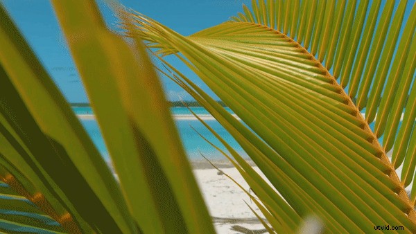 10 Proven Video Call-to-Action Examples That Drive 380% More Clicks