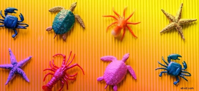 6 Proven Instagram Video Ideas to Captivate and Grow Your Audience