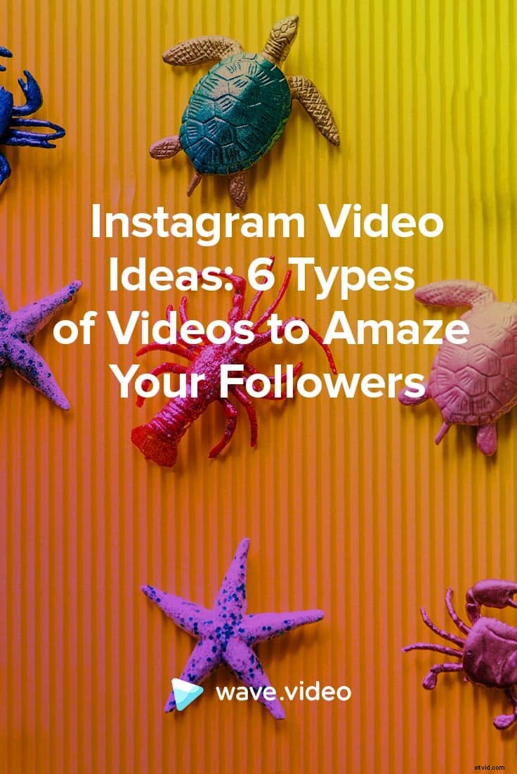 6 Proven Instagram Video Ideas to Captivate and Grow Your Audience
