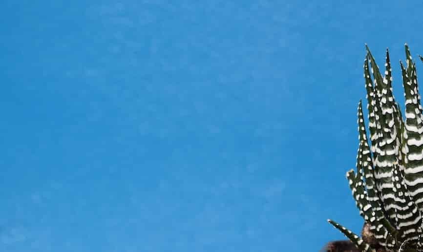 11 Proven Hacks to Supercharge Your Video Marketing Results