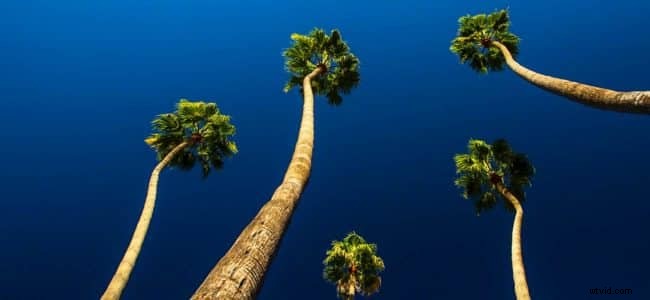 5 Proven Video Types to Supercharge Your Social Media Strategy