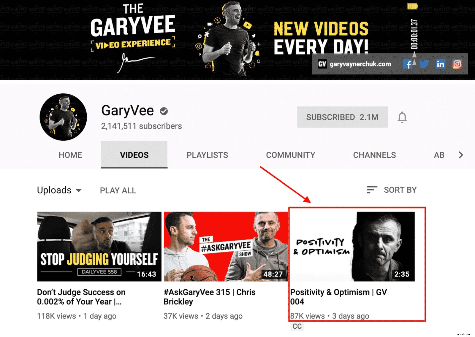 Generate High-Quality Leads with Instagram Stories and IGTV: Proven Strategies for Business Growth