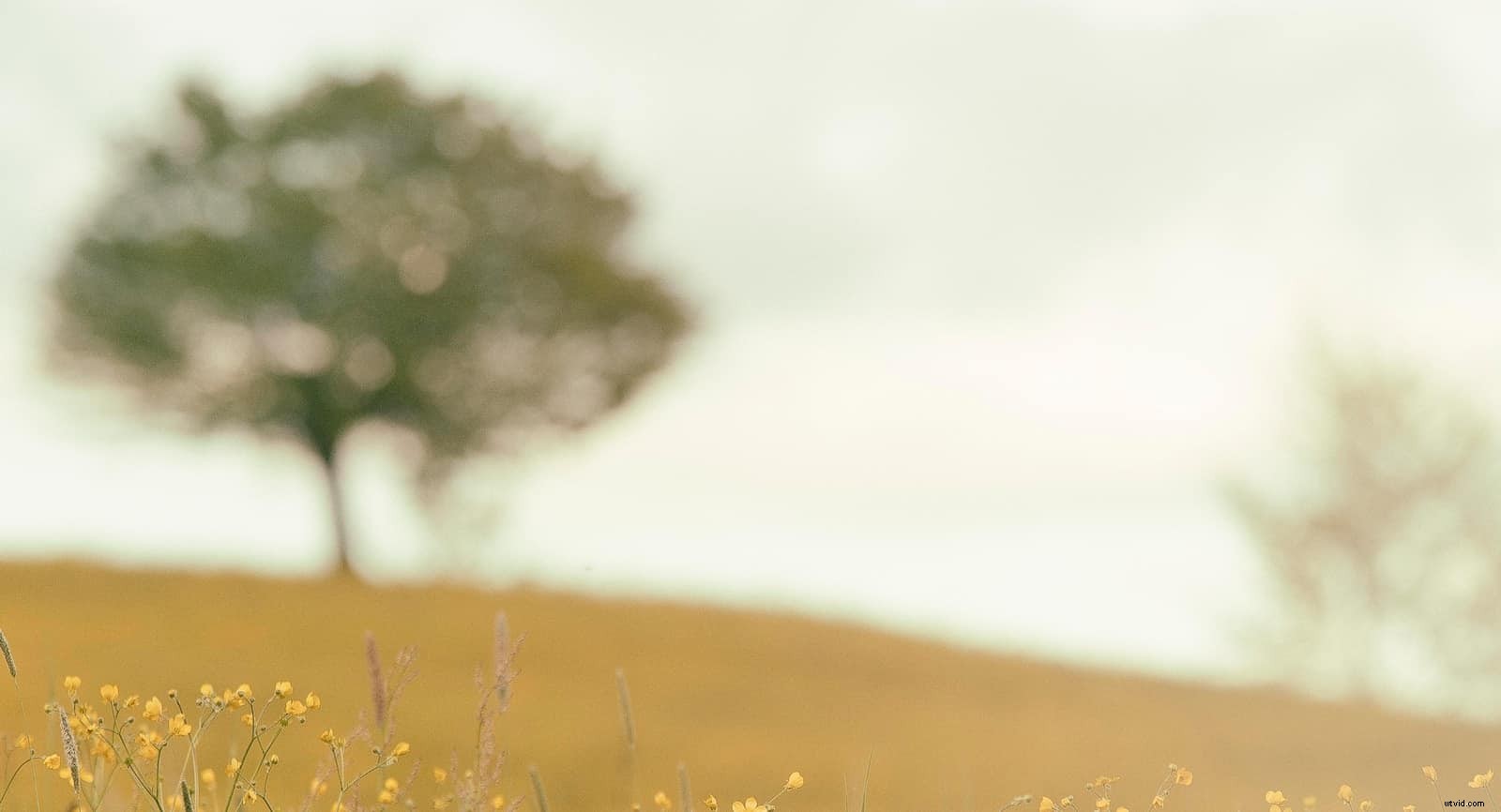 7 Proven Steps to Create a High-Converting Promo Video