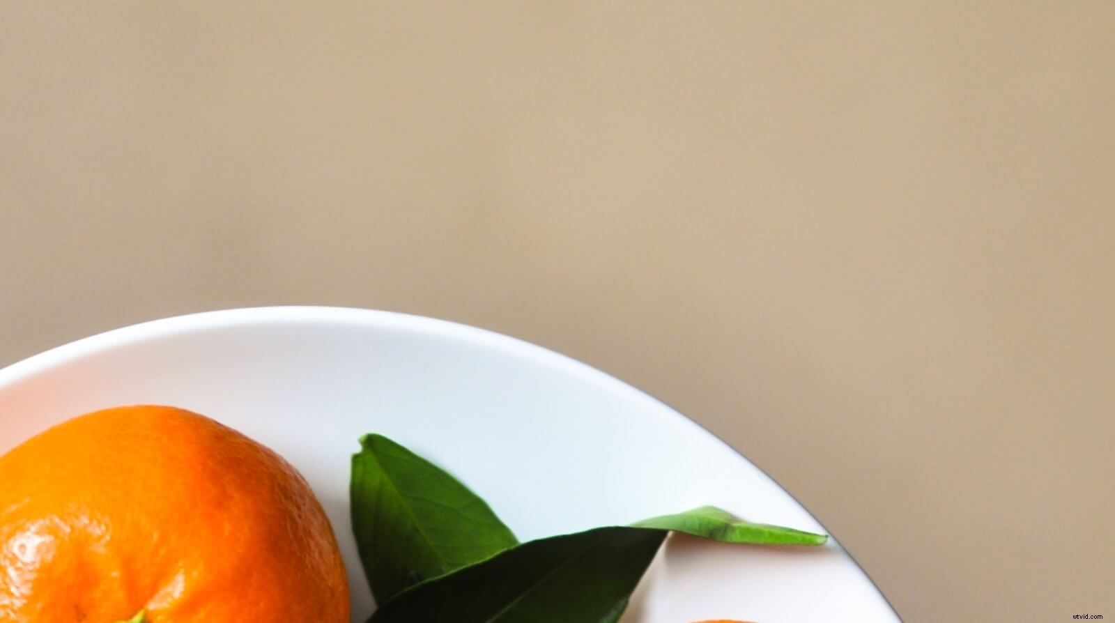 7 Proven Steps to Create a High-Converting Promo Video