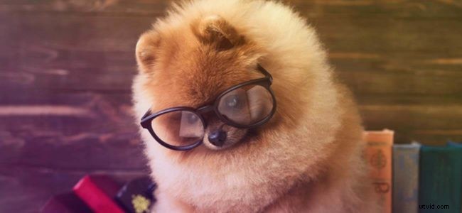 Overcome Camera Fear: Build Confidence for Impactful Video Presence