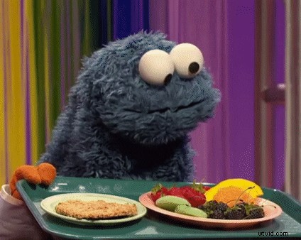 Wave.video vs. Promo vs. Animoto: Ultimate Comparison of Top Online Video Makers