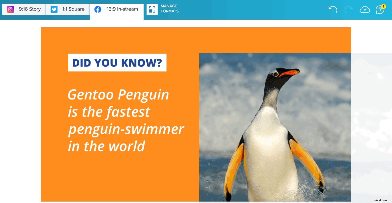 Wave.video vs. Promo vs. Animoto: Ultimate Comparison of Top Online Video Makers