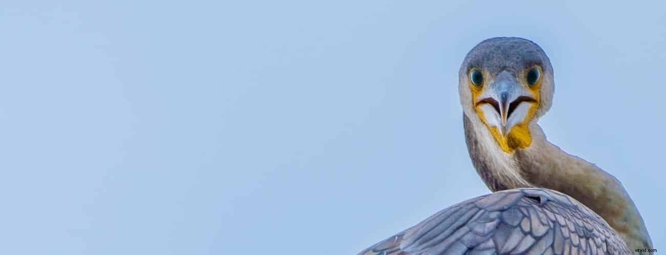 7 Proven Strategies to Distribute and Promote Your Video Content Effectively