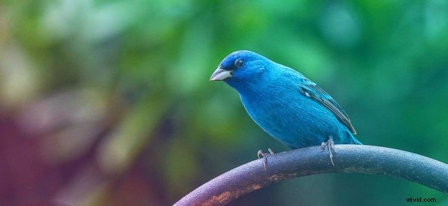 Maximize Your Video Reach: Proven Twitter Promotion Strategies