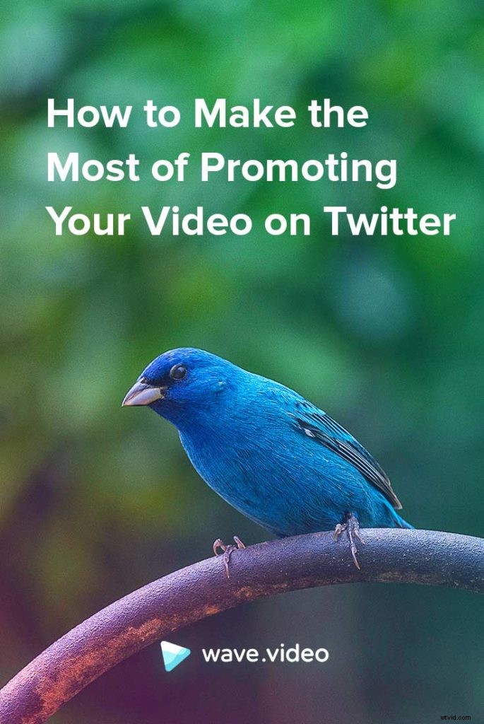 Maximize Your Video Reach: Proven Twitter Promotion Strategies