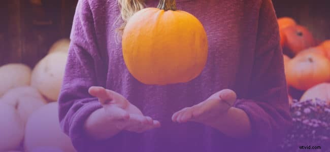 8 Creative Thanksgiving Video Ideas to Boost Your Business During Holiday Sales