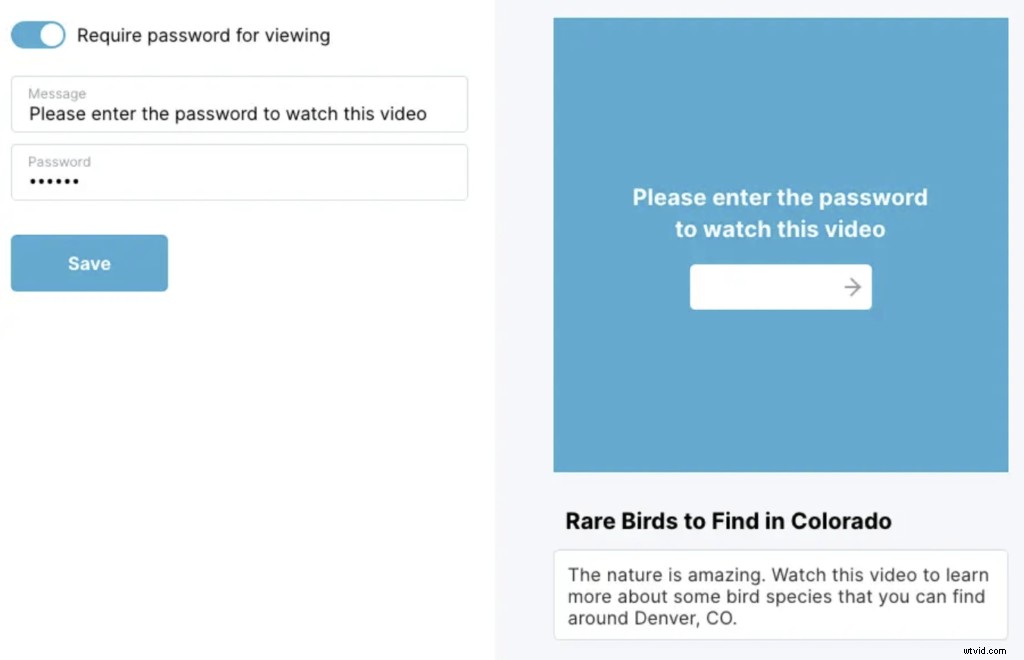 Unlock the Power of Video Hosting: Essential Benefits and Insights
