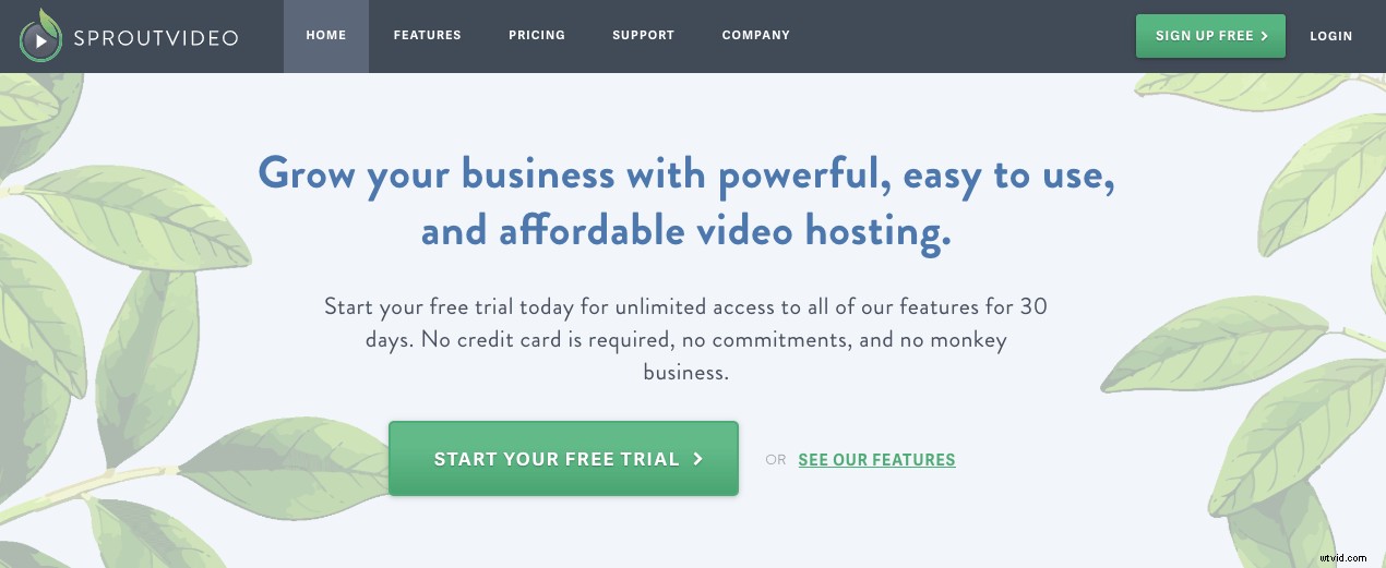 12 Best Video Hosting Sites: Top Platforms for Maximum Reach & Performance