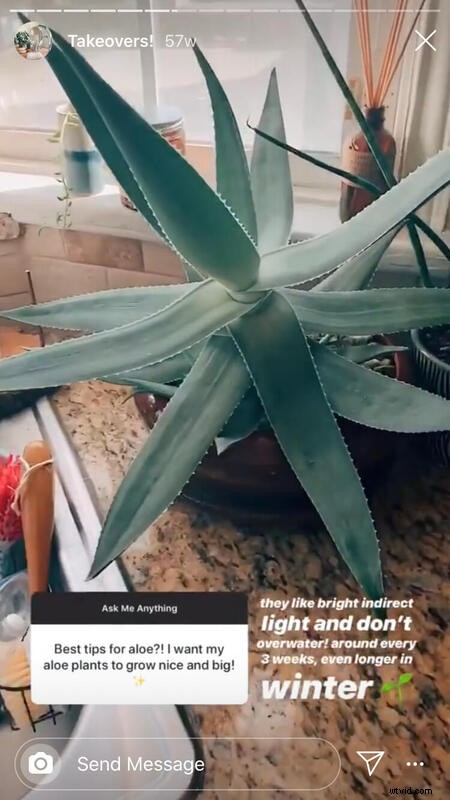 12 Innovative Examples: How Top Brands Leverage Instagram Stories for Business Growth