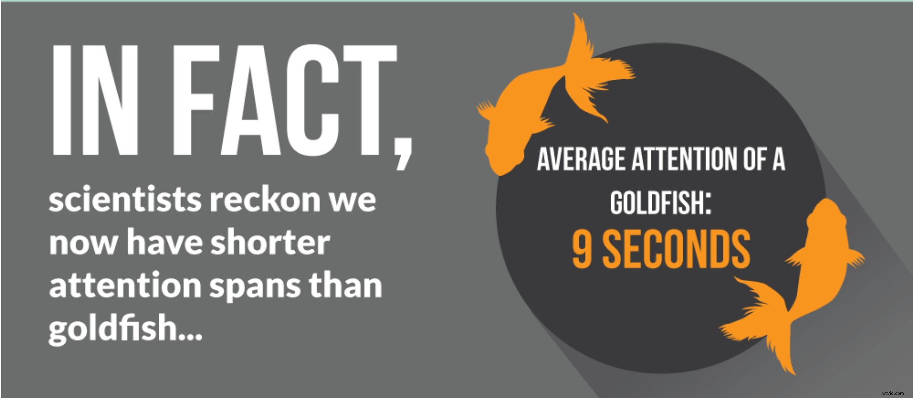 Expert Guide: Convert Videos to GIFs Easily & Boost Marketing Retention