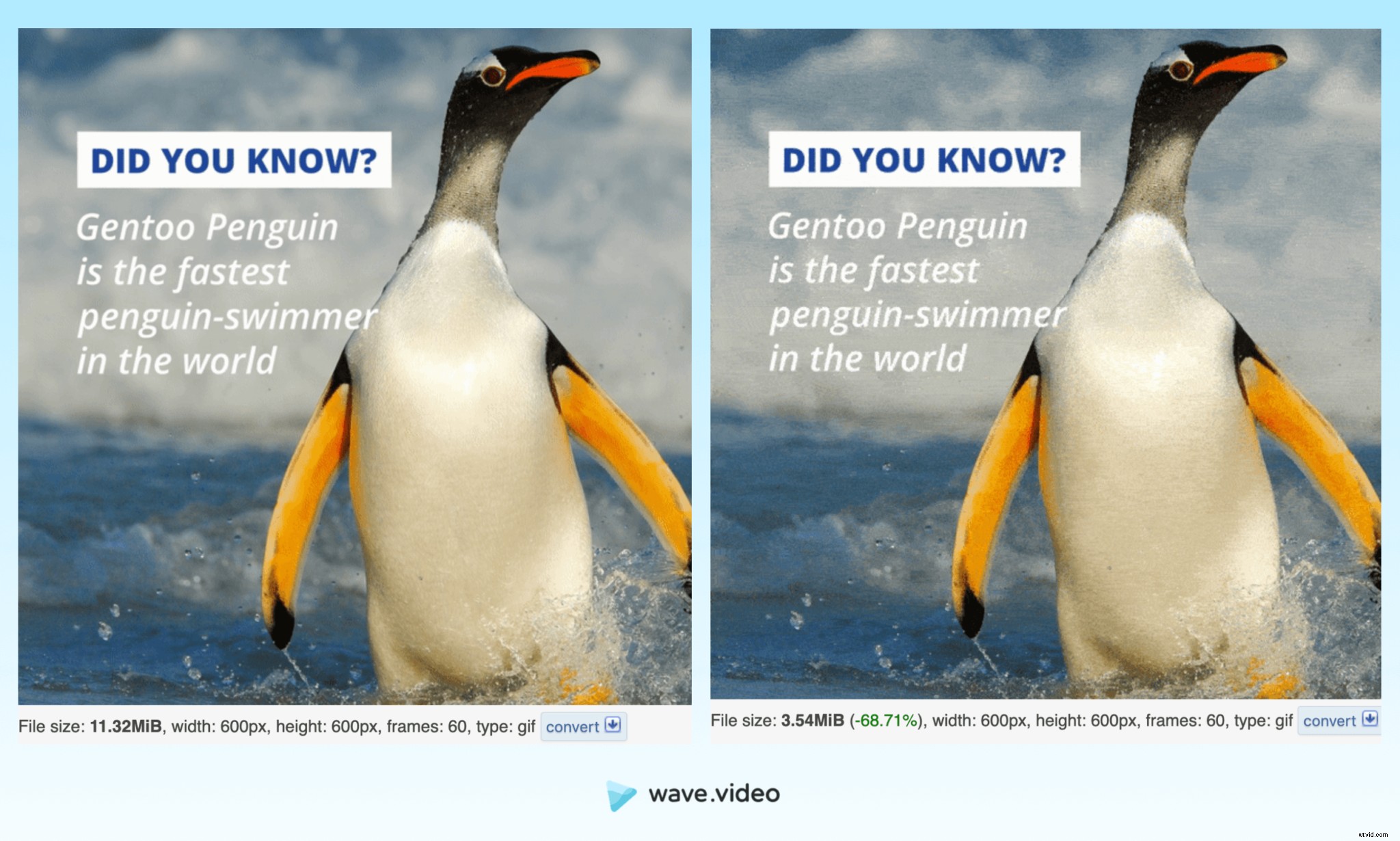 Expert Guide: Convert Videos to GIFs Easily & Boost Marketing Retention