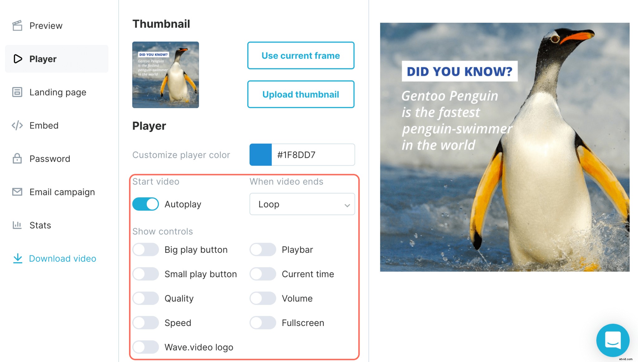 Expert Guide: Convert Videos to GIFs Easily & Boost Marketing Retention