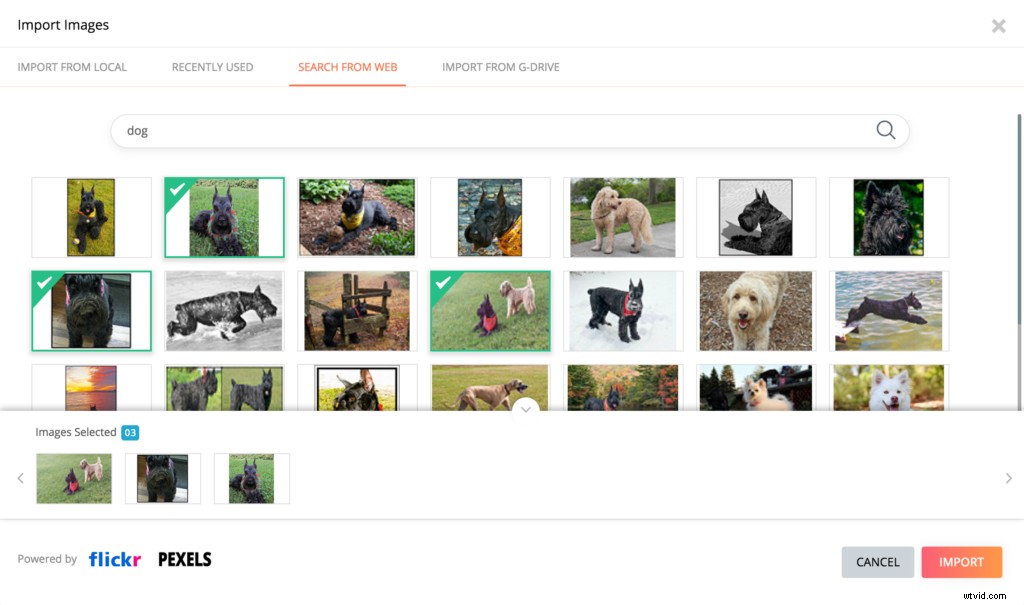 Top 11 Online Video Makers for 2022: Create Pro Videos Effortlessly