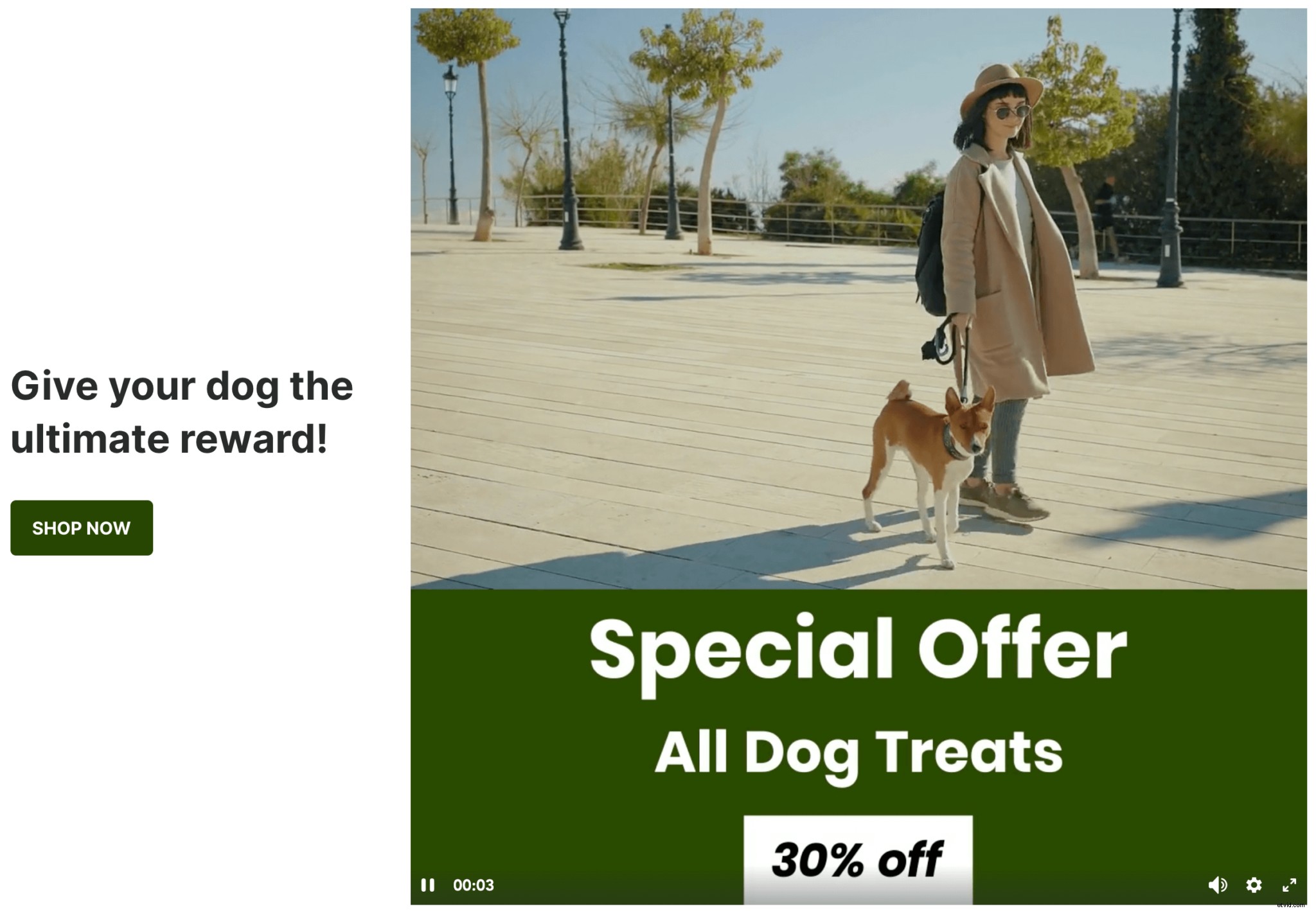 12 Proven Strategies to Maximize Video Landing Pages for Sales & Trust