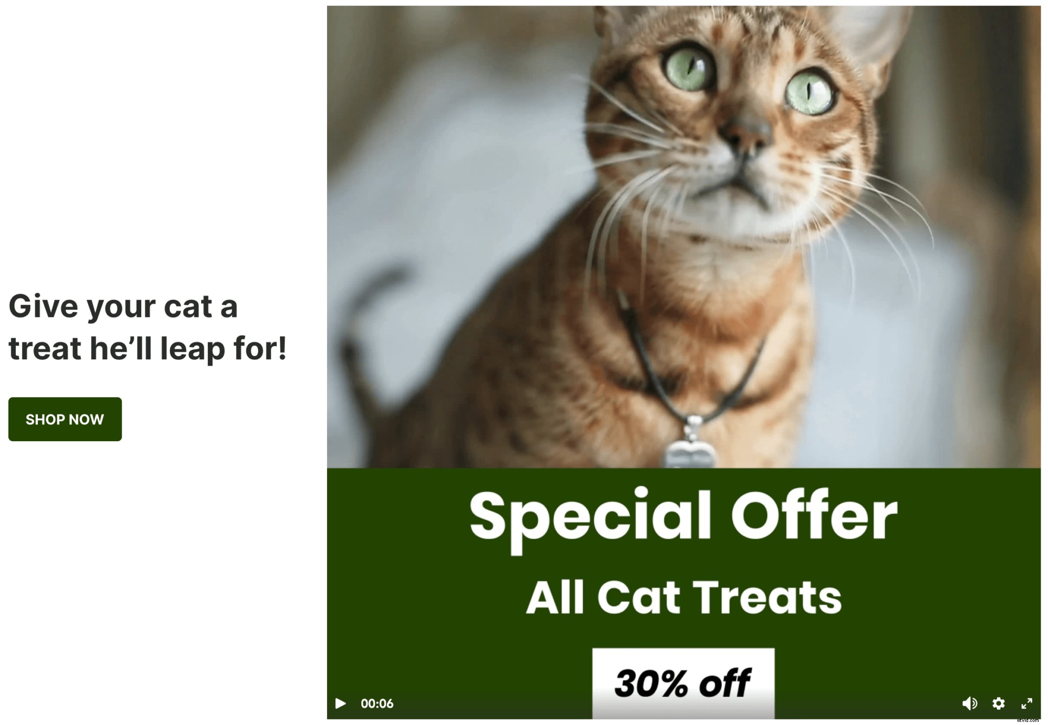 12 Proven Strategies to Maximize Video Landing Pages for Sales & Trust