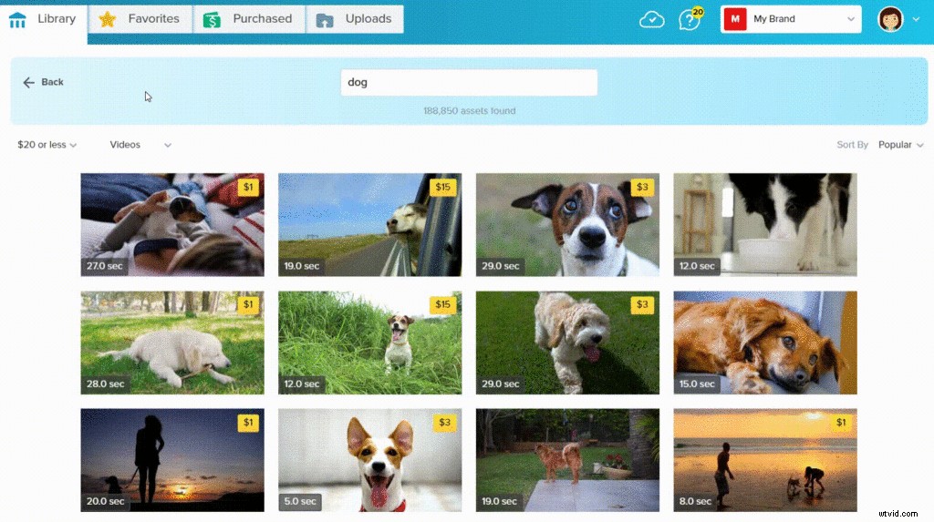 Create Viral Meme Videos: Pro Tips, Creative Ideas & Free Templates