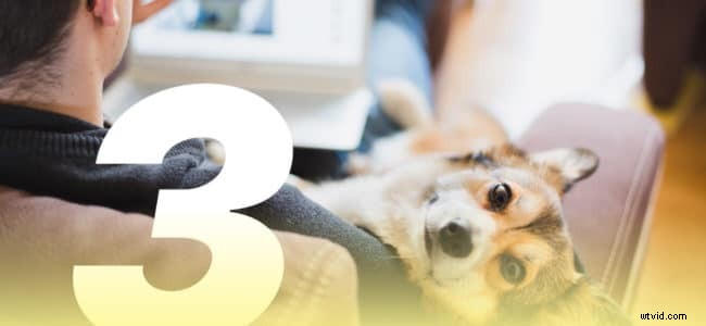 3 Proven Template Hacks: Create More Videos Faster – Even If You re Not a Video Pro