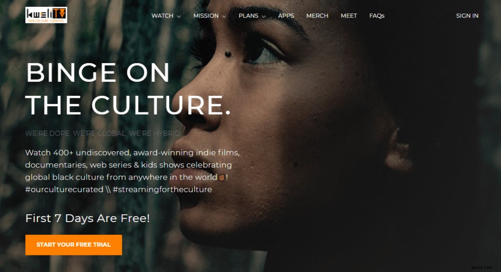 Proven Video Monetization Strategies: Choose the Best for Your Brand