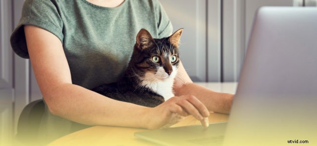 Avoid These 3 Critical Mistakes in Social Media Videos to Maximize Leads