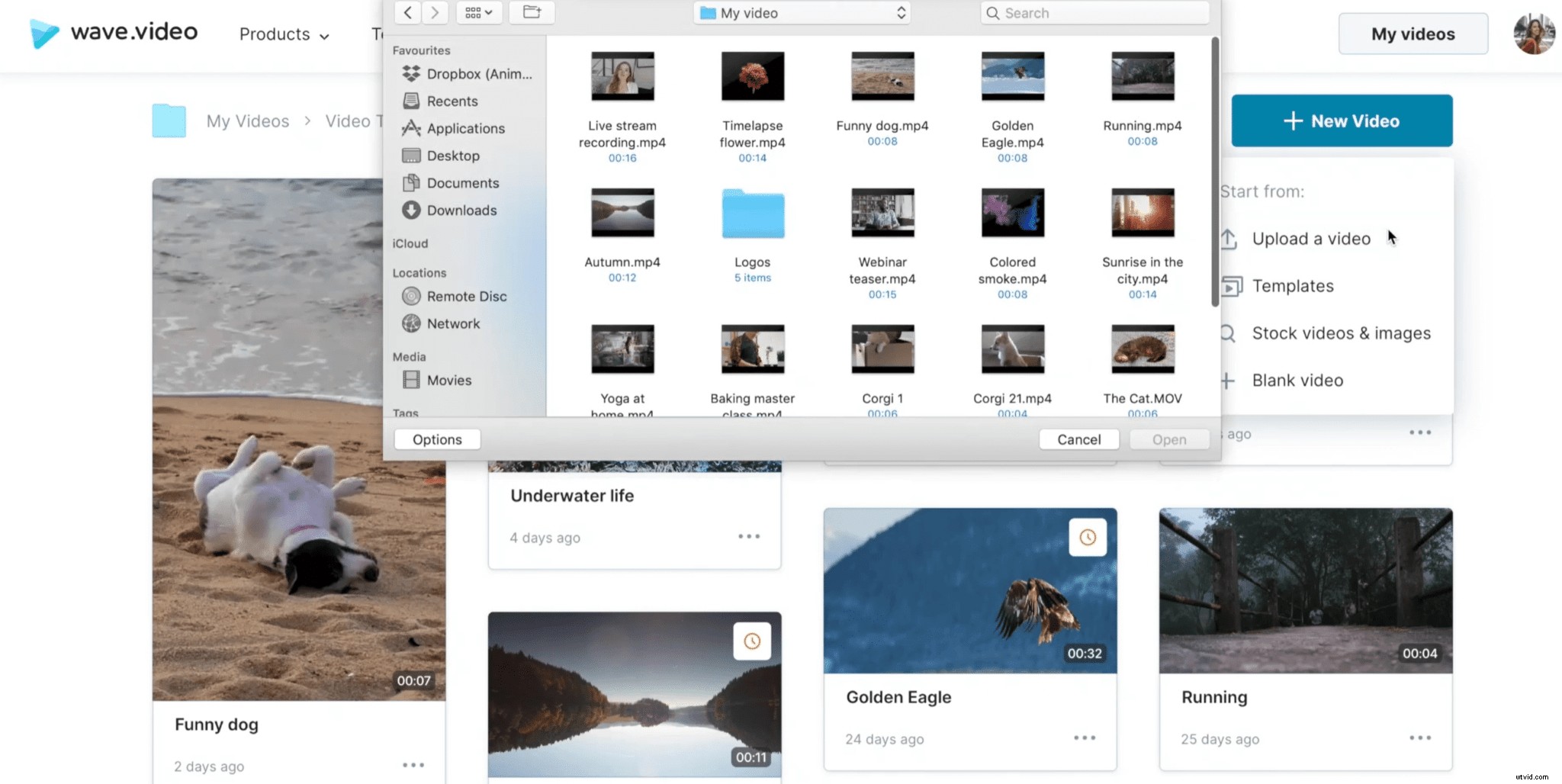 3 Fast & Effective Ways to Convert Video to MP3 Audio Effortlessly
