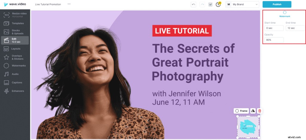 Ultimate Guide: How to Create Professional Watermarks for YouTube Videos