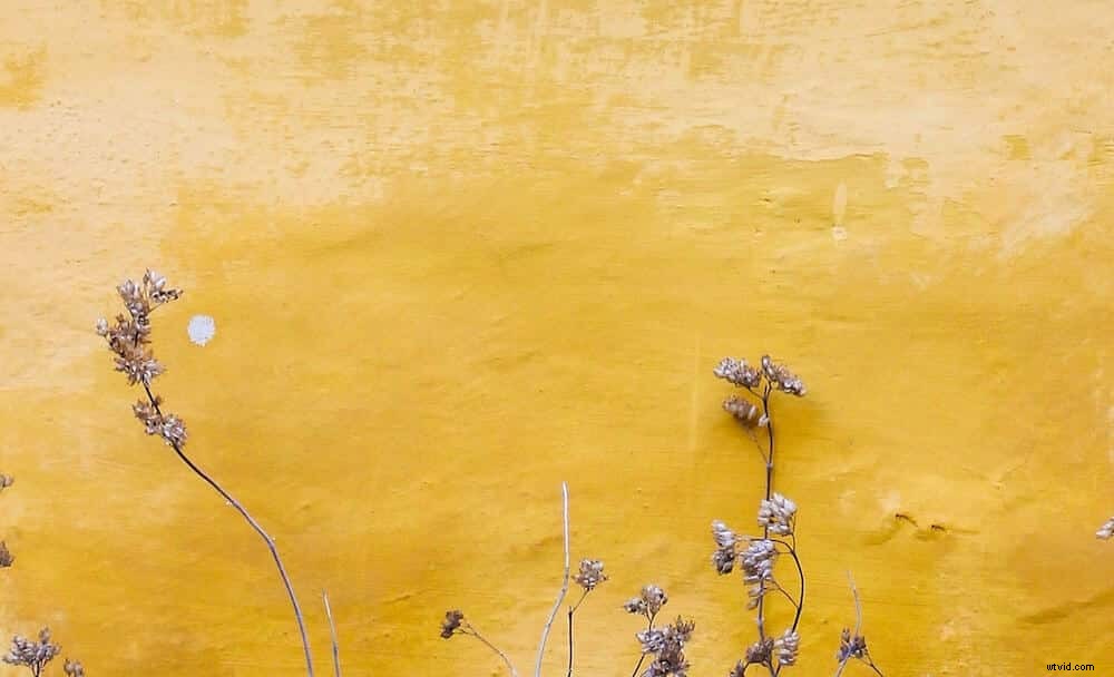 4 Outstanding Social Media Contest Examples + Expert Tips to Run Your Own