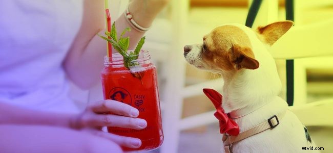 Master Personalization in Social Media Marketing: Your Ultimate Guide to Success