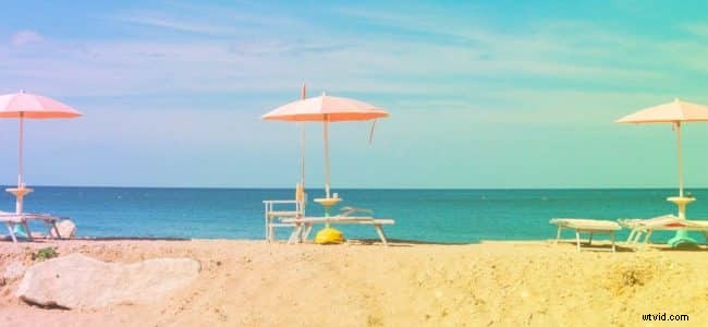 Top 5 Social Media Content Types to Boost Engagement in 2024