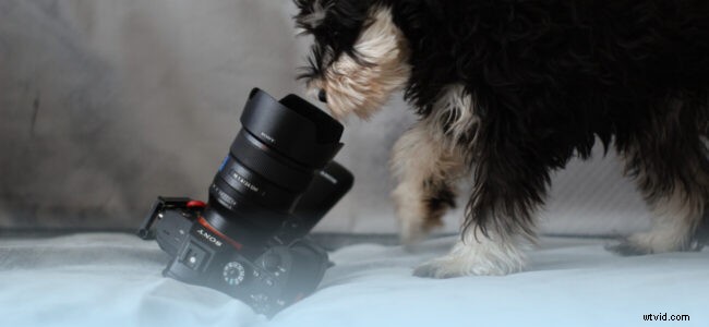 Top 12 Best Cameras for Live Streaming in 2022: Options for Every Budget