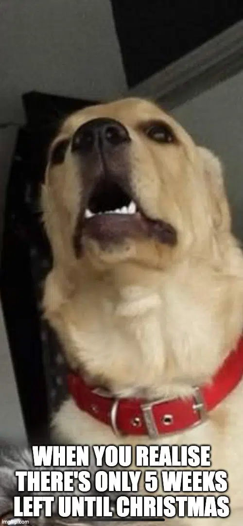 Meme Marketing Mastery: 20 Hilarious Examples & Proven Tips for Viral Success