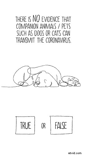 Top 26 Interactive Videos of All Time: Must-Watch Marketing Inspirations