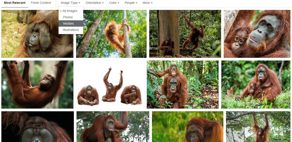 Top 20 Royalty-Free Image Sites for 2024: High-Quality Stock Photos