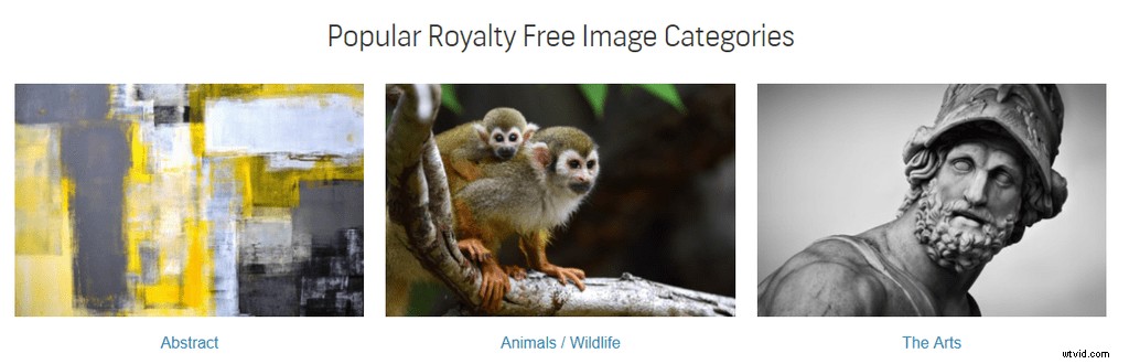 Top 20 Royalty-Free Image Sites for 2024: High-Quality Stock Photos