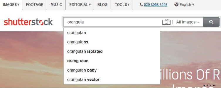 Top 20 Royalty-Free Image Sites for 2024: High-Quality Stock Photos