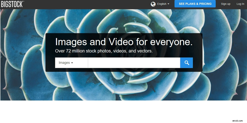 Top 20 Royalty-Free Image Sites for 2024: High-Quality Stock Photos