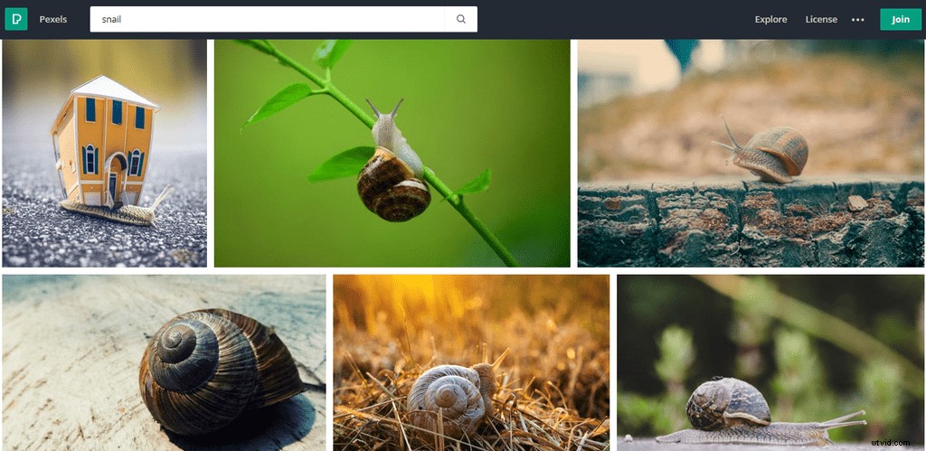 Top 20 Royalty-Free Image Sites for 2024: High-Quality Stock Photos