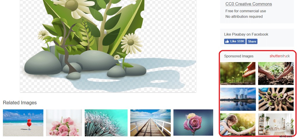 Top 20 Royalty-Free Image Sites for 2024: High-Quality Stock Photos