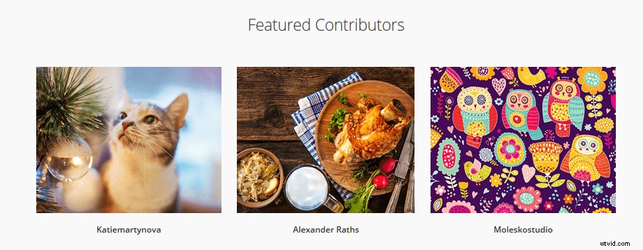 Top 20 Royalty-Free Image Sites for 2024: High-Quality Stock Photos